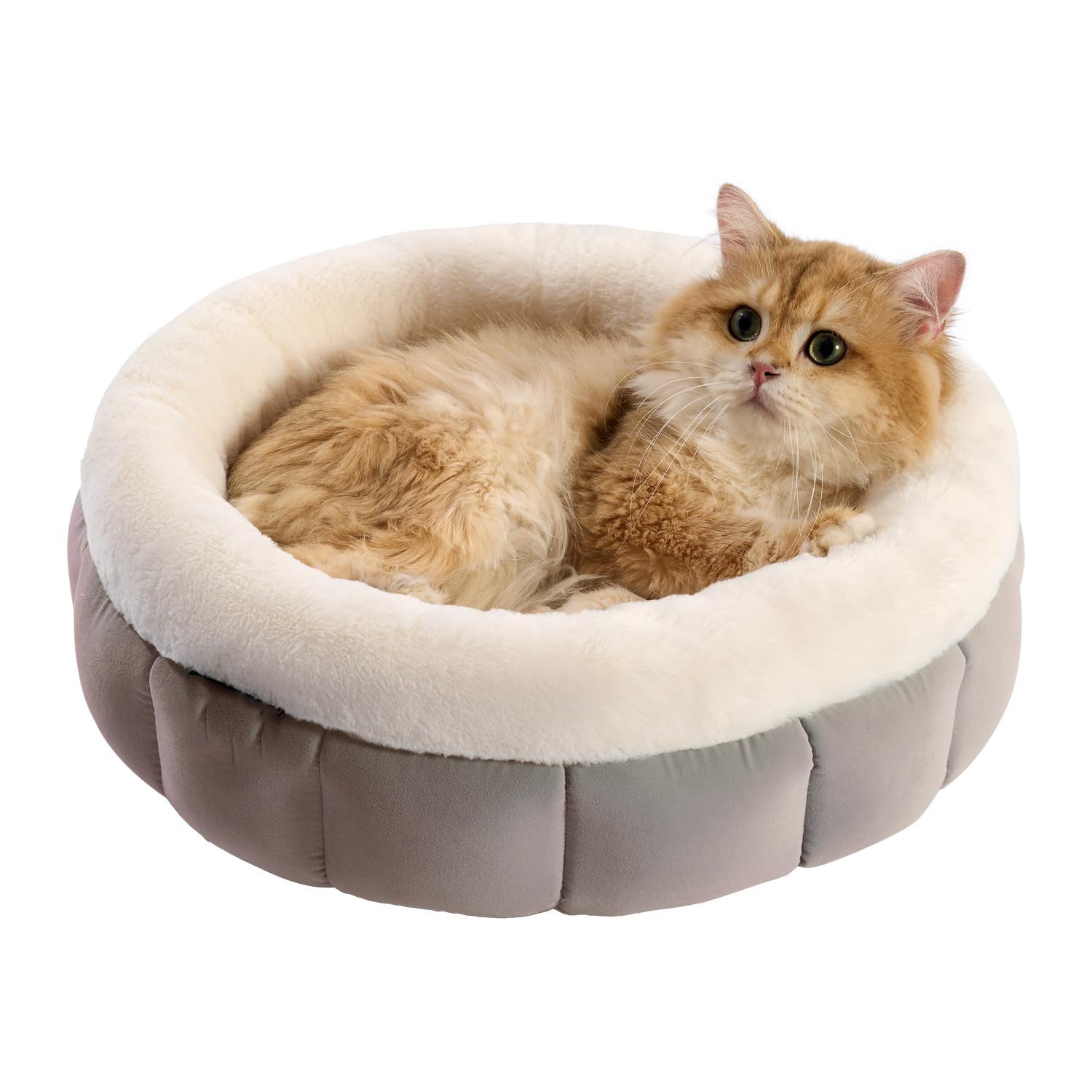 Donut Bed For Small Dogs