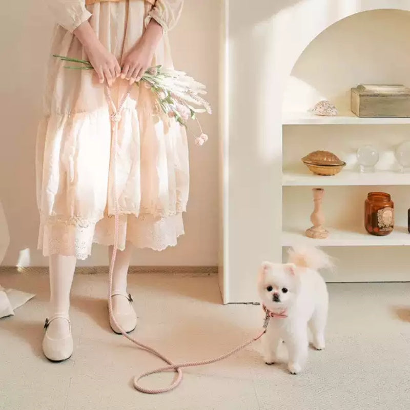 Pet Small And Medium Size Leash