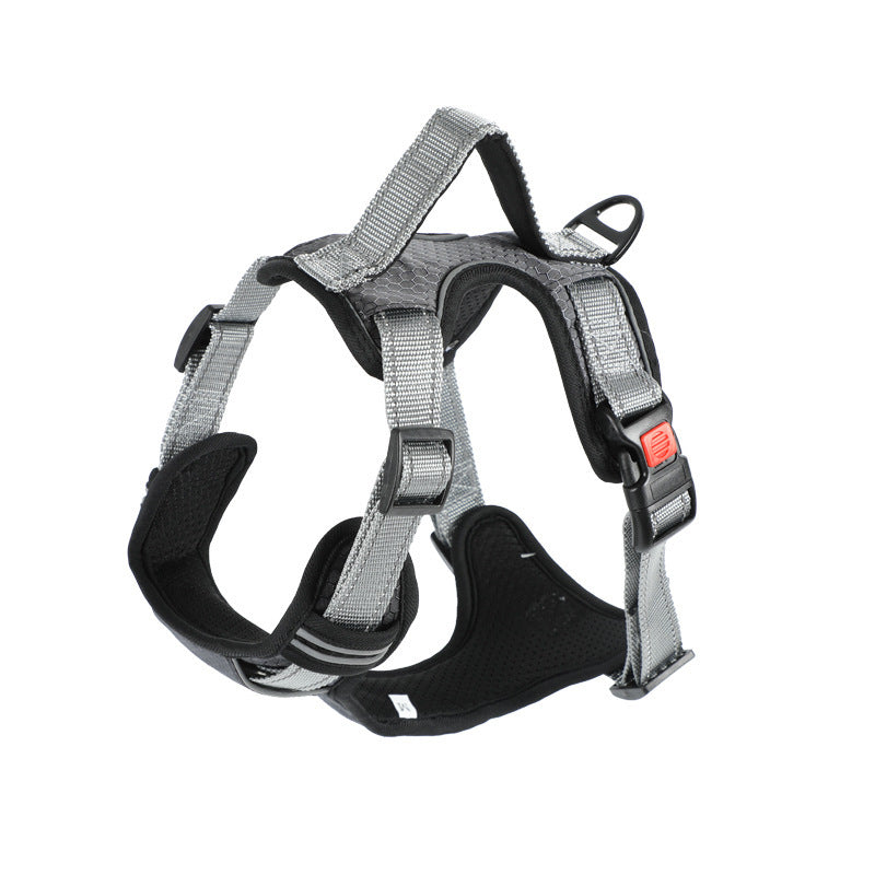 Dog Hand Holding Rope Vest Dog