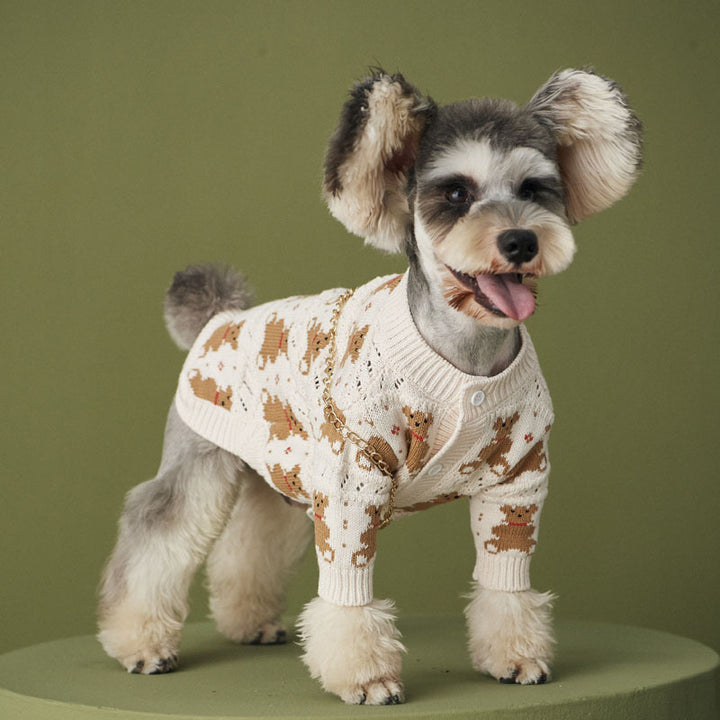 Pomeranian VIP Cute Pet Jacket