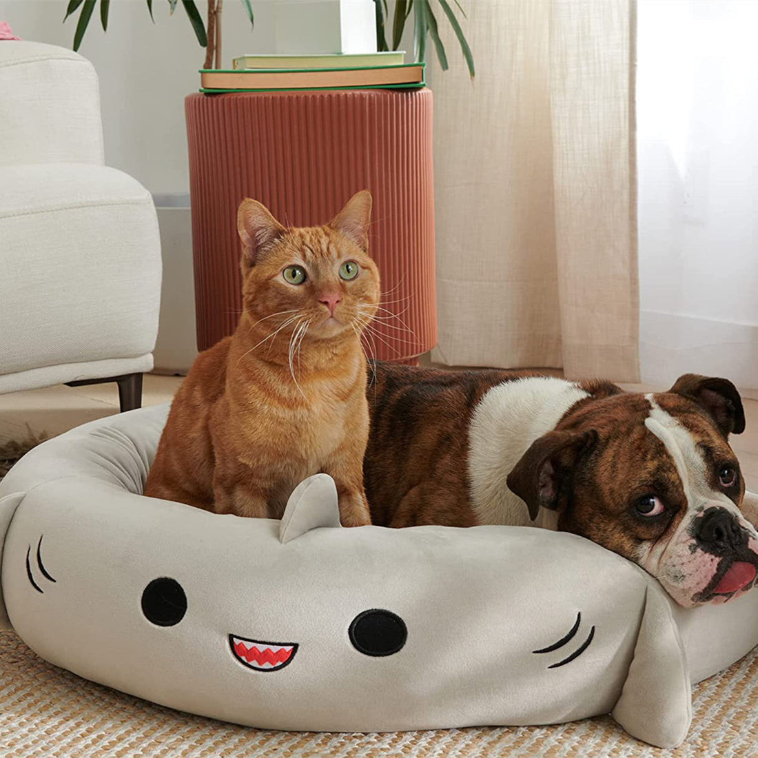 Super Soft Plush Bed