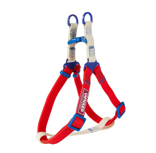 Dog Outing Hand Holding Rope